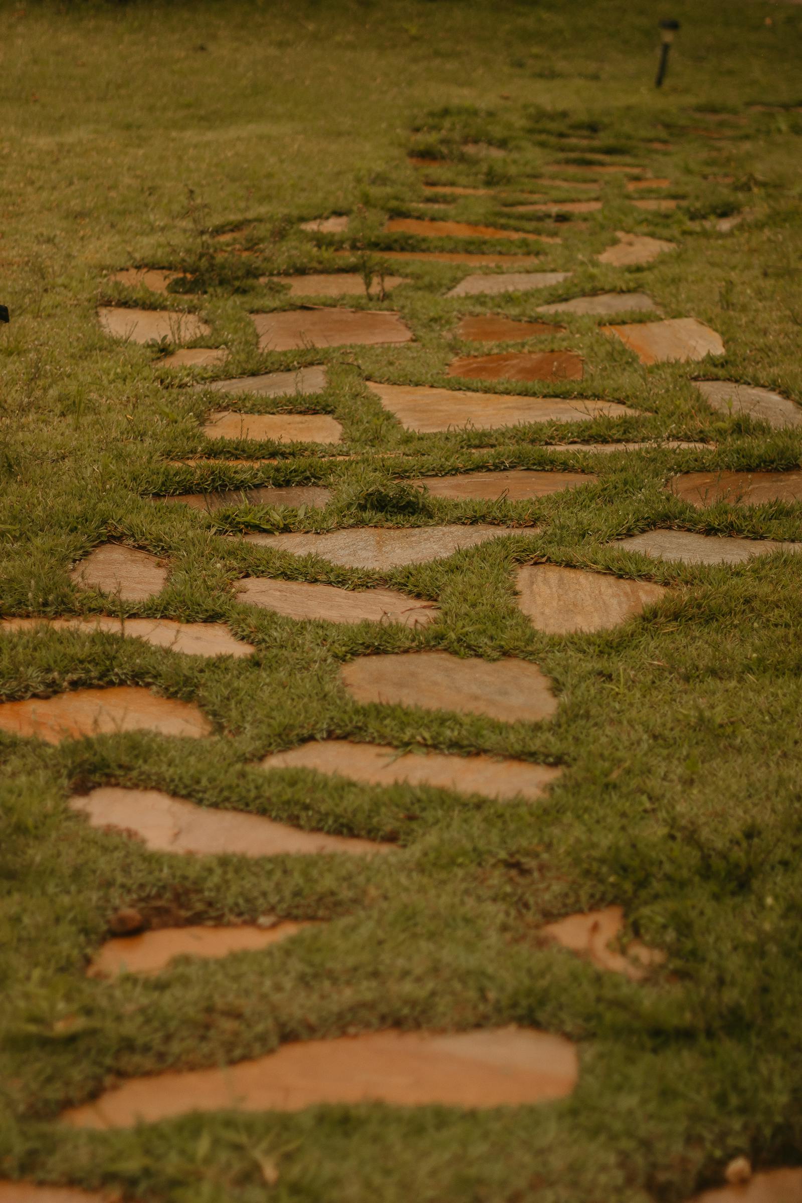 Stepping stones set into a grass yard