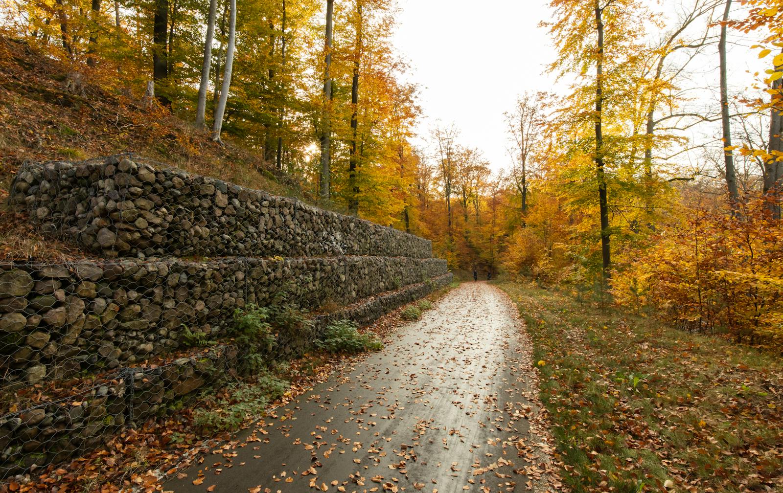 Dry-stack stone retaining wall along an autumn path