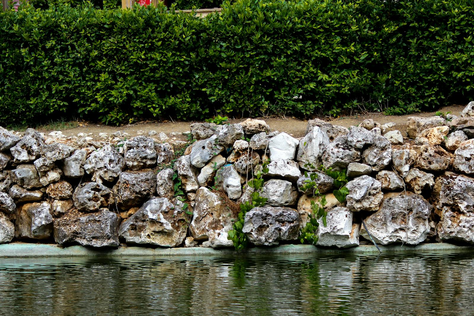 Stone retaining wall with pond and hedge planting