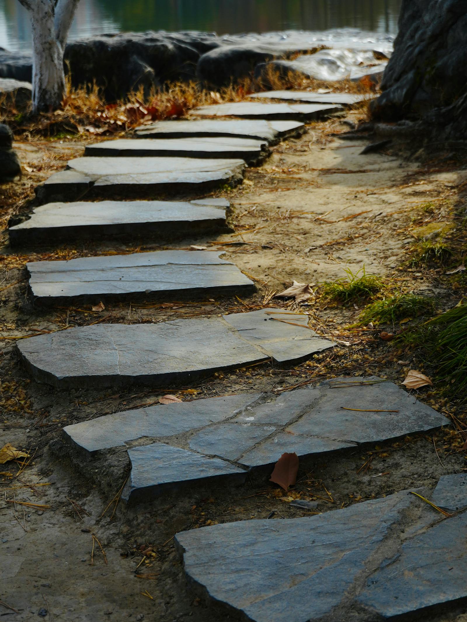 Rustic stone pathway through a garden